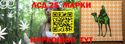 ГАЛЛЮЦИНОГЕННЫЕ ГРИБЫ Нарткала